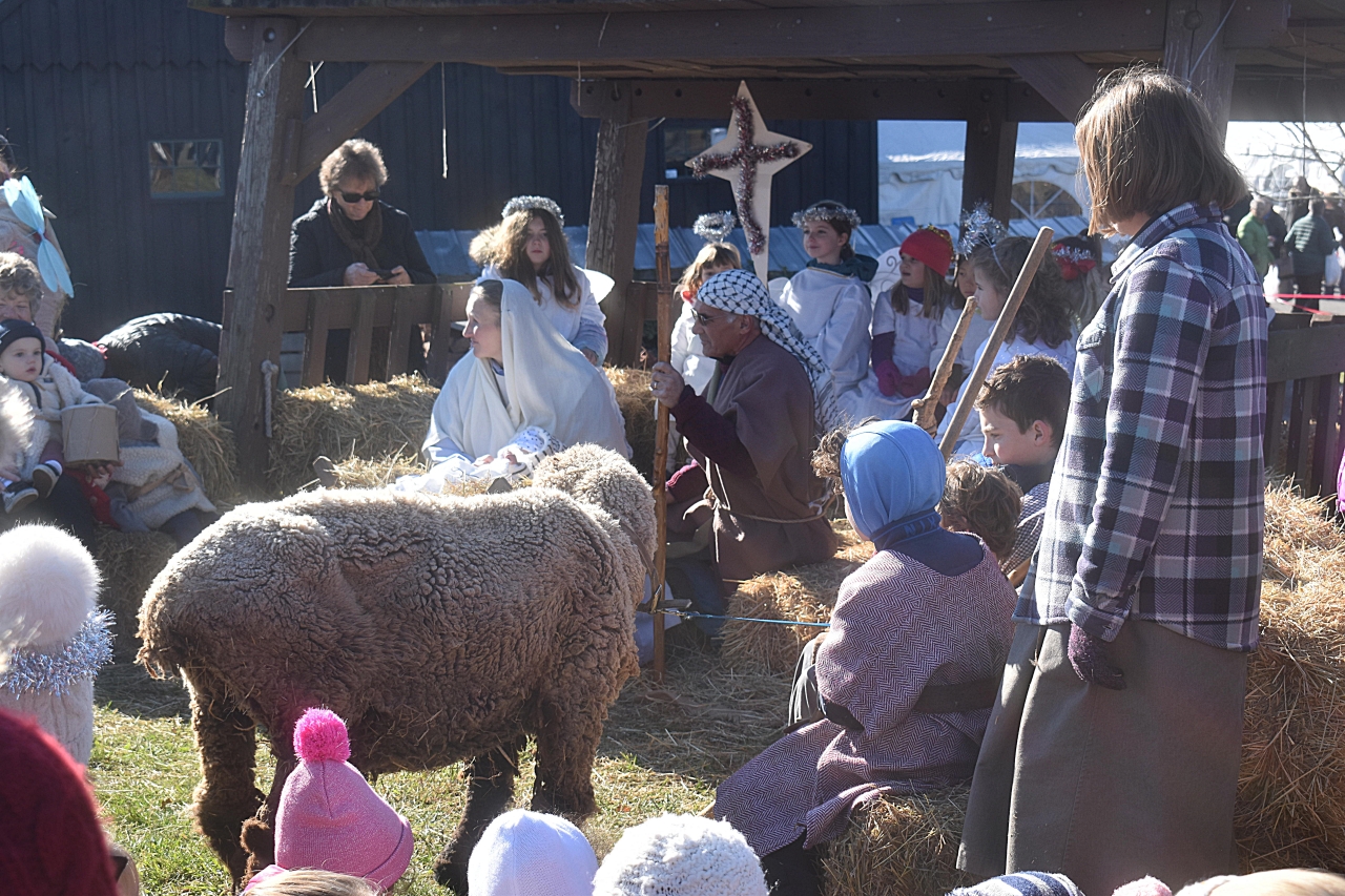 DSC_2204-creche-1280